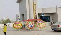 石家庄学院爆料事件最新,真相与争议交织的校园风云