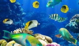 一线吃瓜小说免费海底见月,一线吃瓜小说中的神秘月影之旅